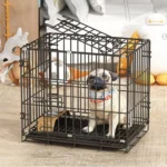 Visaccy Double Door Folding Wire Dog Crate, Black, Medium, 24"L